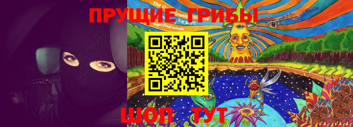 Псилоцибиновые грибы Cubensis Надым